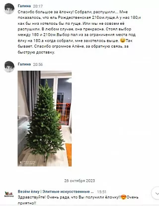 Фото покупателя из отзыва о компании «Везём ёлку», отзыв 9, фотография 1