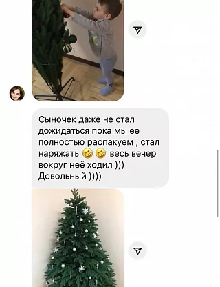 Фото покупателя из отзыва о компании «Везём ёлку», отзыв 1, фотография 5