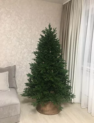 Фото покупателя из отзыва о компании «Везём ёлку», отзыв 11, фотография 1