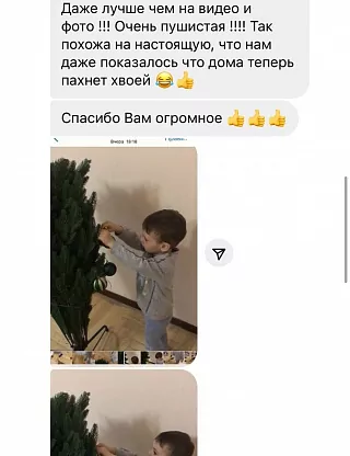 Фото покупателя из отзыва о компании «Везём ёлку», отзыв 1, фотография 4