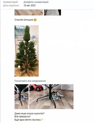 Фото покупателя из отзыва о компании «Везём ёлку», отзыв 4, фотография 1