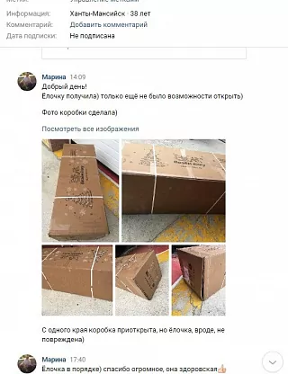 Фото покупателя из отзыва о компании «Везём ёлку», отзыв 2, фотография 1