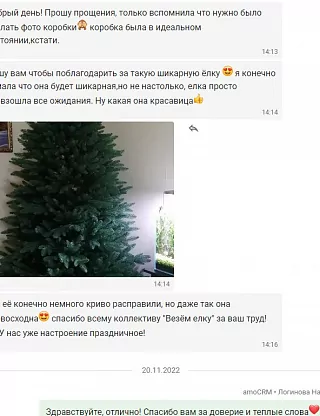 Фото покупателя из отзыва о компании «Везём ёлку», отзыв 3, фотография 2