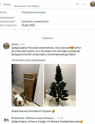 Фото покупателя из отзыва о компании «Везём ёлку», отзыв 3, фотография 1