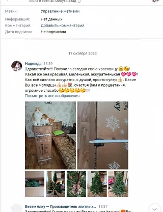 Фото покупателя из отзыва о компании «Везём ёлку», отзыв 3, фотография 1
