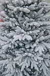 Искусственная ёлка Александрийская Заснеженная, фотография 3