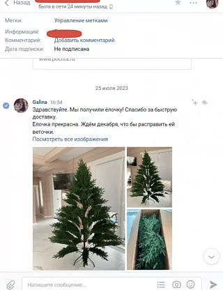 Фото покупателя из отзыва о компании «Везём ёлку», отзыв 8, фотография 1