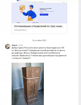 Фото покупателя из отзыва о компании «Везём ёлку», отзыв 2, фотография 1