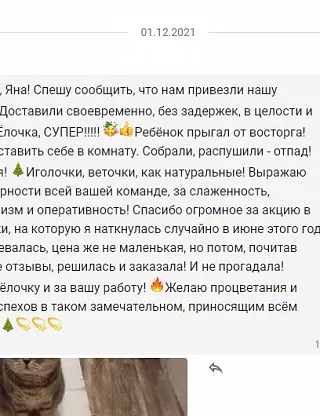 Фото покупателя из отзыва о компании «Везём ёлку», отзыв 15, фотография 2