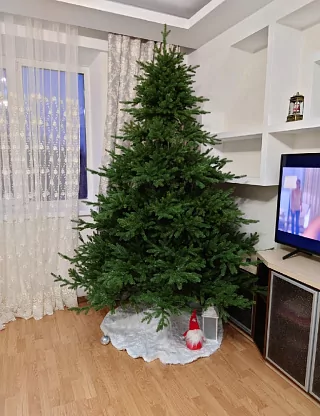 Фото покупателя из отзыва о компании «Везём ёлку», отзыв 9, фотография 1