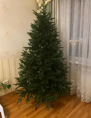 Фото покупателя из отзыва о компании «Везём ёлку», отзыв 10, фотография 1