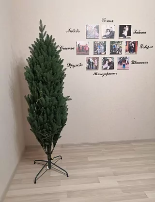 Фото покупателя из отзыва о компании «Везём ёлку», отзыв 18, фотография 2
