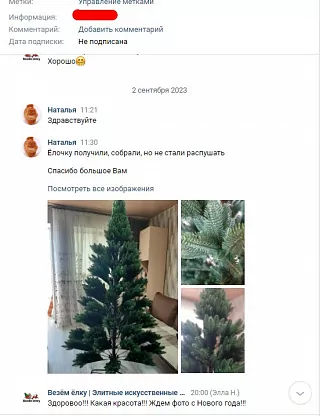 Фото покупателя из отзыва о компании «Везём ёлку», отзыв 7, фотография 1